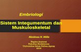 Sistem Integumentum dan Muskuloskeletal · berkembang dari sklerotom yang berasal dari somit Perkembangan minggu ke-4 sklerotom bergerak mengelilingi medula spinalis dan notochord
