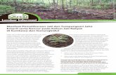 foto: Riyandoko / World Agroforestry Centre Information...produksi jahe emprit serta kencur di Sumbawa Ujicoba pemangkasan cabang, penjarangan pohon jati dan tumpangsari jahe emprit