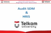 Audit SDM HRIS - syarifuddin.staff.telkomuniversity.ac.id...Audit SDM: Pemeriksaan dan penilaian secara sistematis, objektif dan terdokumentasi terhadap fungsi-fungsi organisasi yang