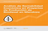 Análisis de Rentabilidad Económica de ProyectosAnálisis de Rentabilidad Económica de Proyectos de Producción de Biodiesel en Mendoza El presente informe analiza los factores económicos