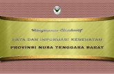 PROVINSI SUMATERA UTARA...kesehatan tahun 2014 (Kepmenkokesra No. 54 tahun 2013) rasio dokter umum 40 per 100.000 penduduk, provinsi di regional Nusa Tenggara-Maluku-Papua belum mencapai