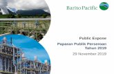 Sekilas Perusahaan - Barito Pacific relations/managementPresenta… · Chevron di Aset Operasi panas bumi Salak and Darajat 2013 CAP menyelesaikan konstruksi pabrk Butadiene dengan