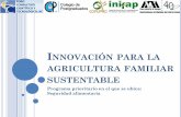 Innovación para la agricultura familiar sustentable · 2018-04-23 · La producción se destina a la venta y autoconsumo, con dificultades para la reproducción familiar y para articularse