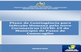 Plano de Contingência para Infecção Humana pelo novo …passodecamaragibe.al.gov.br/portal/arquivos/PLANO.pdf · 2020-06-08 · O Município de Passo de Camaragibe, através da