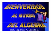 Prof.: Ing. César A. Briceño E. · Son Expresiones Algebraicas porque los exponentes de sus 6x3 -3x2y + 1/4x-12x8y4z + 0,6x3y2 pq p variables son ENTEROS o FRACCIONES 2x-3 -5x-6