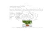 BAB II TINJAUAN PUSTAKAeprints.umm.ac.id/48819/3/BAB II.pdf · tanaman yang berkhasiat bagi kesehatan. Tanaman ini banyak ditemukan di daerah ... dan tanin yang merupakan sumber potensial