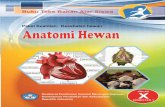 Anatomi ewan 1 · 2016-12-02 · Dasar-Dasar Peternakan 2 Anatomi Hewan 1 Anatomi Hewan 2 Fisiologi Hewan 1 Fisiologi Hewan 2 Reproduksi Hewan 1 Reproduksi Hewan 2 . x Glosarium .