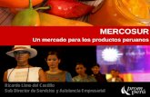 Un mercado para los productos peruanos · 2009-11-05 · pesca, en el que destacan diversos tipos de pescados, y el de textil y confecciones. •Mediano plazo, 12 productos, resaltan