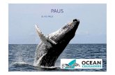 7th Lesson Whales (1).ppt Bahasa - Compatibility Modeoceancrusaders.org/lessons/Indonesia/7th Lesson Whales Bahasa.pdf · termasuk Paus Serma, Paus Pembunuh, Paus Pilot dan Paus Beluga.
