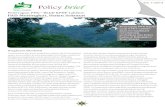 old.programsetapak.org · Policy brief vol. 1/2014 Penerapan PPK-BWD pada KPHP akan berimplikasi mendukung perbaikan kelola hutan di Kabupaten Musi Rawas. Ringkasan Eksekutif Pembentukan