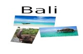 b-bali.weebly.com€¦  · Web view2019. 10. 6. · Er word in Bali veel gedanst, je hebt wel 12 verschillende soorten dans. Bij het dans word er ook veel met gezichtsuitdrukkingen