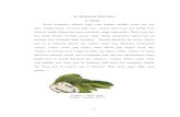 II. TINJAUAN PUSTAKA A. Sirsakeprints.mercubuana-yogya.ac.id/5120/3/BAB II.pdf5 II. TINJAUAN PUSTAKA A. Sirsak Sirsak merupakan tanaman tropis yang buahnya memiliki aroma dan rasa