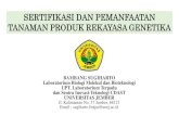 SERTIFIKASI DAN PEMANFAATAN TANAMAN …cdast.unej.ac.id/wp-content/uploads/2020/08/Sertifikasi...Pengujian Keamanan Hayati Tanaman Produk Rekayasa Genetika Cartagena Protocol on Biosafety
