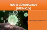 NOVEL CORONAVIRUS (2019-nCoV) - Bulelengkab...Ini dapat dicapai melalui langkah-langkah kesehatan masyarakat ... •Melakukan penyelidikan epidemiologi selanjutnya ... wabah dan upaya