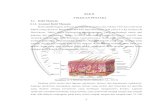 BAB II TINJAUAN PUSTAKA 2.1. 2.1.1. Anatomi Kulit Manusiaeprints.umm.ac.id/61014/3/BAB II.pdf · 2020. 4. 13. · Kulit berfungsi sebagai pelindung tubuh dari berbagai pengaruh luar.