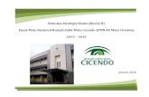 Rencana Strategis Bisnis (Revisi II) Pusat Mata Nasional ... · Pusat Mata Nasional Rumah Sakit Mata Cicendo (PMN RS Mata Cicendo) 2015 – 2019 Januari, 2018 . ... Cicendo dalam