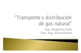 Ing. Angelina Soto Dra. Ing. Silvia Bruno · 2014. 6. 2. · El gas natural en Argentina. En 1943 existían 190.000 usuarios en Gran Buenos Aires, La Plata, Rosario, Bahía Blanca,