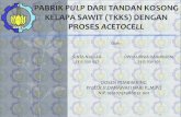 PABRIK PULP DARI TANDAN KOSONG KELAPA SAWIT (TKKS) · PDF file Produksi Perkebunan Kelapa Sawit di Indonesia Tahun 2012-2013 Provinsi Produksi Kelapa Sawit (ribu ton) 2012 2013 Aceh