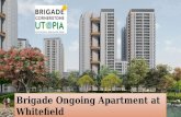 Brigade Cornerstone Utopia Best Apartment Bangalore