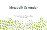 Designed by Slidesmashvlm.ub.ac.id/pluginfile.php/44500/mod_resource... · Tim Toksikologi dan Tanaman Obat FKH UB 2020 . Kompetensi •Memahami dan menjelaskan tentang metabolit