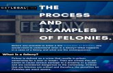 Felony: The Process and Examples of Felonies.