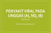 PENYAKIT VIRAL PADA UNGGAS (AI, ND, IB)vlm.ub.ac.id/pluginfile.php/41485/mod_resource/content/1/Penyakit Vira… · AVIAN INFLUENZA (AI) •Di Indonesia pertama kali diidentifikasi