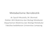 Metabolisme Xenobiotik · Metabolisme Xenobiotik dr. Syazili Mustofa, M. Biomed Dokter Ahli Biokimia dan Biologi Molekuler Departemen Biokimia dan Biologi Molekuler Fakultas kedokteran