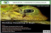 Media Publikasi dan Informasi Dunia Reptil dan Amfibi Volume VI …perhimpunanherpetologi.com/wp-content/uploads/2019/02/... · 2019. 2. 9. · Mengenal Ular Papua 32 Patofisiologi