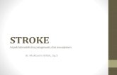 STROKE - pspk.fkunissula.ac.id · Fakta seputar stroke: Penyebab kematian nomor 3 di dunia dan nomor 1 di Indonesia (15,4%; Price & Wilson, 2005). Prevalensi meningkat pertahunnya: