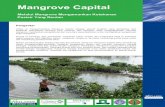Mangrov e Capital - Wetlands Internationalwetlands.or.id/PDF/Mangrove_Capital.pdfjasa-jasa mangrove ke dalamnya. Proyek akan berkerjasama dengan perusahan swasta, dinas-dinas pemerintah