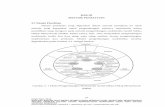 BAB III METODE PENELITIAN 3.1 Desain Penelitianrepository.upi.edu/25595/6/S_KOM_1205991_Chapter3.pdf · pendidikan yang mengacu pada metode pengembangan multimedia model Siklus Hidup