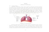 BAB II TINJAUAN PUSTAKA 2.1 Anatomi Parueprints.umm.ac.id/42878/3/jiptummpp-gdl-nurafnifit-48379... · 2019. 1. 4. · Bakteri penyebab TB paling sering menyerang paru-paru (TB Paru)