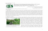 EAN 26 Making and Testing Alternative Herbicide BAHASA · PDF file 2" bagi"petani.Pembersihan"total"semacam"ini"juga"dapat"menyebabkan"kerusakan"agroekosistem."Selain" itu," gulma"