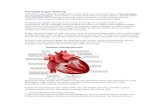 Pengertian, Fungsi Plasenta dan Tali Pusar  · Web viewPenyakit Gagal Jantung yang dalam istilah medisnya disebut dengan "Heart Failure atau Cardiac Failure", merupakan suatu keadaan