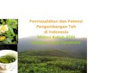 Permasalahan dan Potensi Pengembangan Teh di Indonesia ...yudo.lecture.ub.ac.id/files/2009/02/TEH-akhir-Compatibility-Mode1.pdf · teh konsumen rumah tangga yang berpendapatan rendah