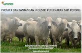 XII - PB ISPIpb-ispi.org/pdf/2. Djoni_Prospek Industri Sapi Potong... · 2018. 12. 13. · malang, 6 desembe 2018 -konsumsi daging sapi nasional Èproyeksi populasi dan produi(si