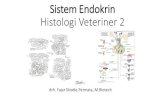 Sistem Endokrin Histologi Veteriner 2vlm.ub.ac.id/pluginfile.php/44635/mod_resource/content/1... · 2020. 4. 13. · •Hormon menyebar melalui pembuluh darah dan mempengaruhi semua