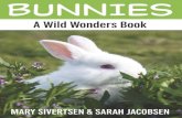 BEST BOOK Bunnies A Wild Wonders Book Wild Wonders Animal Education