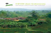 CIFOR dan Indonesia · 2014. 11. 21. · INDONESIA Harta global dan nasional Indonesia merupakan rumah bagi ribuan spesies hewan dan tumbuhan di dunia Kehutanan, pangan dan mata pencaharian