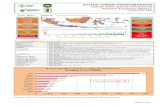 CORONA VIRUS DISEASE-19 (COVID-19) Provinsi Sumatera Selatancorona.sumselprov.go.id/userfiles/020620202249... · Prov. Sumsel : Kab/Kota = 17, Ada Kasus = 100 % Kec = 236, Ada Kasus