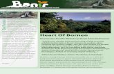 WWF-Indonesiaawsassets.wwf.or.id/downloads/nsl_banir_01_ed_ags_2009.pdf · mata pencarian lain. V Mulyono yang dilahirkan di Wonogiri, Jawa Tengah 3 Januari 1965, berangkat merantau