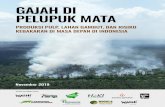 GAJAH DI PELUPUK MATAGAJAH DI PELUPUK MATA PRODUKSI PULP, LAHAN GAMBUT, DAN RISIKO KEBAKARAN DI MASA DEPAN DI INDONESIA PESAN UTAMA 1. Pada 2019, kebakaran hutan dan lahan di Indonesia