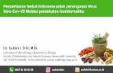Pemanfaatan herbal Indonesia untuk penanganan Virus Sars ...hppbi.or.id/wp-content/uploads/2020/05/Sulfahri2.pdf · Pemanfaatan herbal Indonesia untuk penanganan Virus Sars-Cov-V2