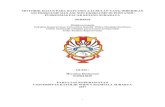 Diajukan kepada Fakultas Keperawatan Universitas Katolik Widya …repository.wima.ac.id/11807/1/ABSTRAK.pdf · 2017. 7. 27. · Posyandu Puskesmas Pacar keeling tanggal 22 Mei-27