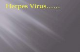 Herpes Virus……...lengkap dlm 8-10 hari Frekwensi rekurensi pd tiap individu berbeda 2. Keratokonjungtivitis Pyb : HSV 1 Organ yg dikenai mata Kelainan : Keratitis dendritik / ulkus