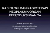 RADIOLOGI DAN RADIOTERAPI NEOPLASMA ORGAN …. Radiologi dan radioterapi...•Pemeriksaan kontras •USG •CT scan •MRI •Kedokteran nuklir •Radioterapi . RADIOTERAPI . DEFINISI
