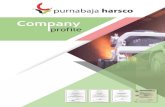 Company Profile Rev Profile Rev.pdf · dengan PT Krakatau Steel (Persero) Tbk perusahaan ini mulai didirikan. Layanan yang disediakan oleh PT Puma Baja Harsco yaitu pengelolaan slag,