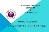 BUDIDAYA TANAMAN SEMUSIM & TAHUNAN (*)ummu_kalsum.staff.gunadarma.ac.id/Downloads/files/61528/UK+-+B… · BUDIDAYA TANAMAN SEMUSIM & TAHUNAN (*) UMMU KALSUM UNIVERSITAS GUNADARMA