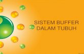 SISTEM BUFFER DALAM TUBUH. Sistem Buffer... · •Katabolisme KH dan Lipid menghasilkan 15.000 – 20.000 mMol CO 2 / hari volatil acid •Oksidasi glukosa yang tidak sempurna asam