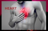 SITEM HANTARAN JANTUNG · 2019. 11. 19. · •Gambaran EKG pada infark miokard adalah adanya elevasi segmen ST akut (STEMI), dan enzim jantung yang diperiksa adalah troponin T atau
